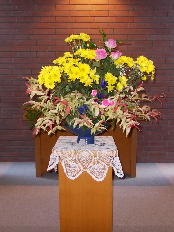 今日のお花