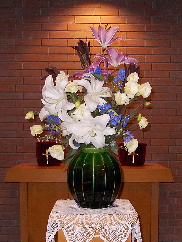 今日のお花